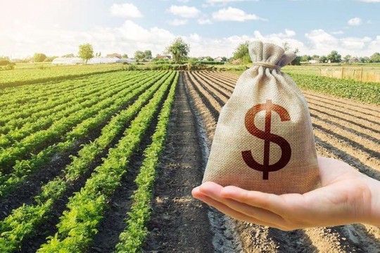 AGRONEGOCIOS UIP AMBATO